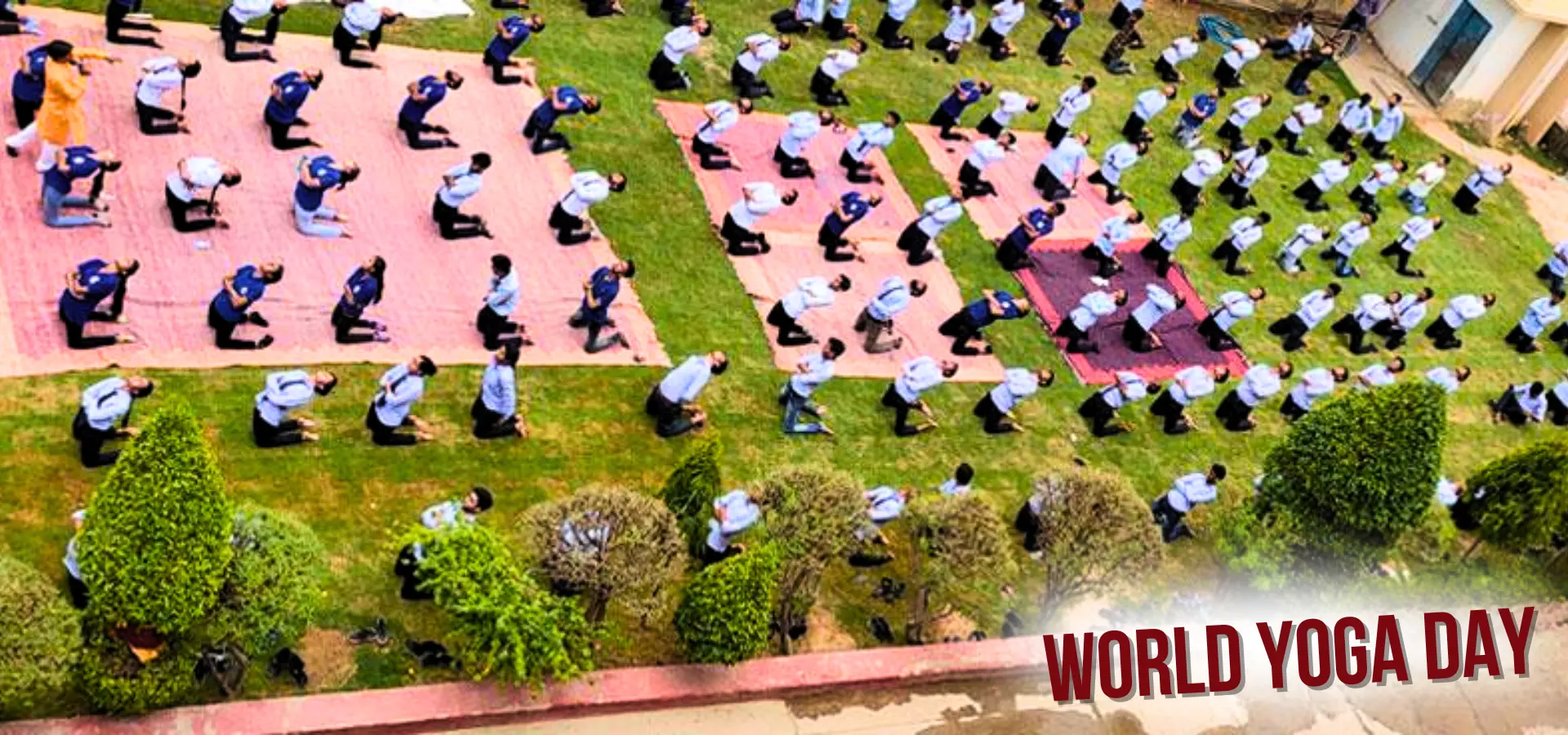 Jaipur College of Pharmacy student achievement highlight